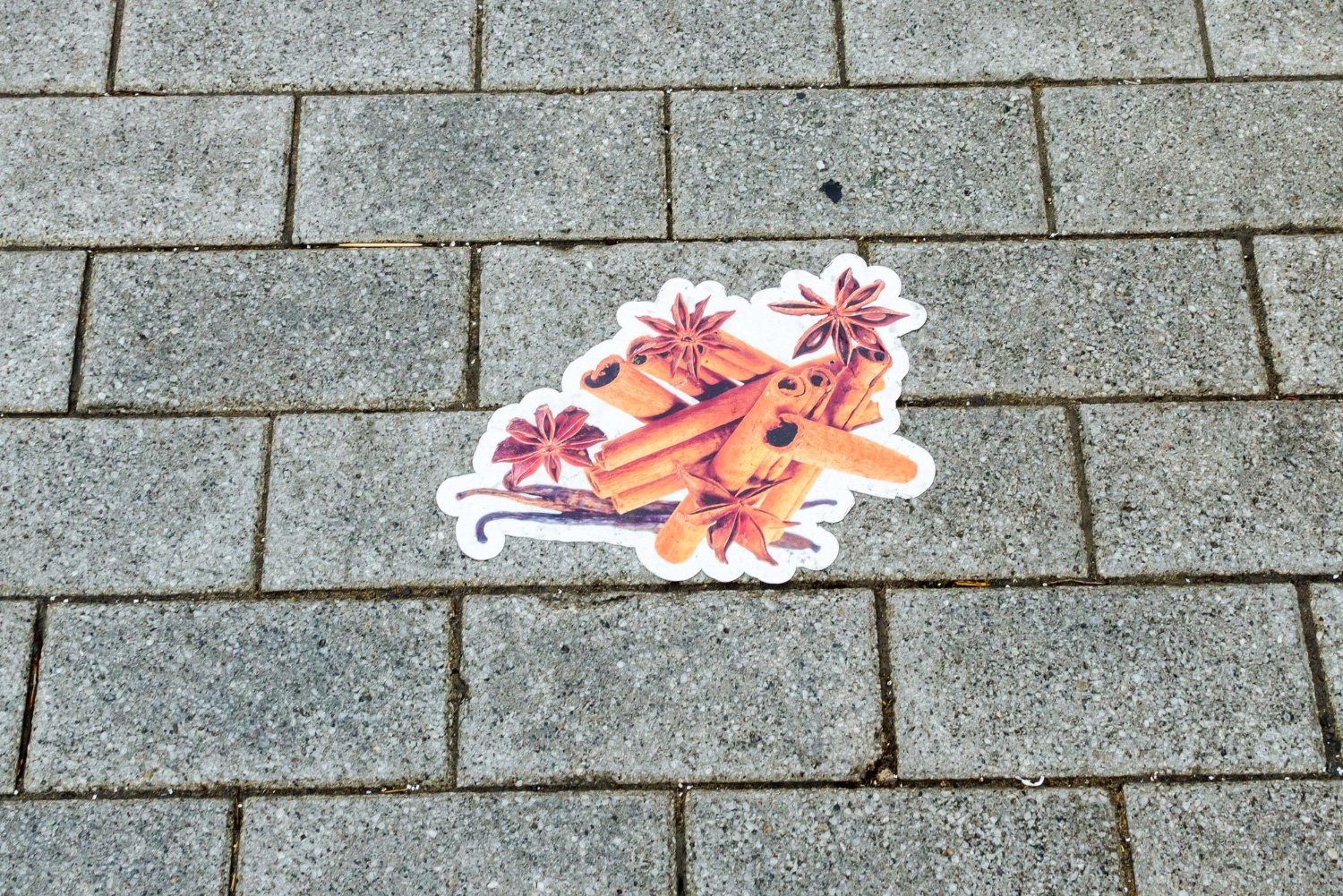 Decorazioni CALPESTABILI 